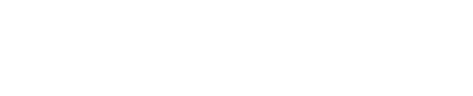 deeplogo-light